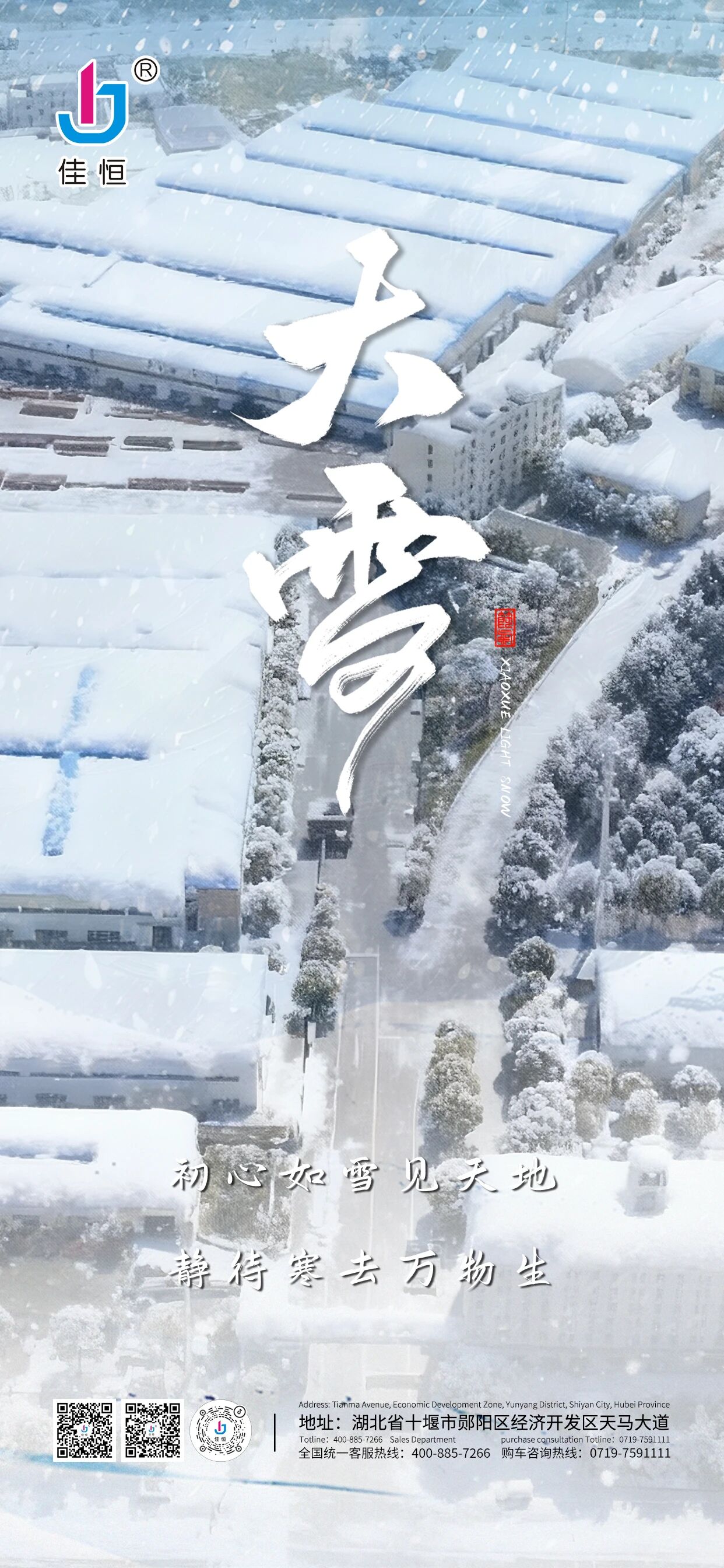 �����Г������Ѻ㌍���o��